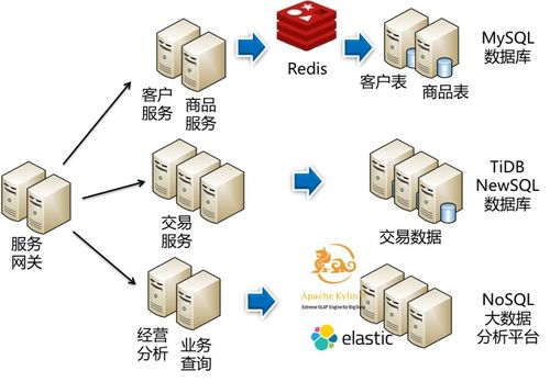 微服务设计中的去中心化技术治理与数据管理